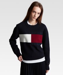 TOMMY HILFIGER(トミーヒルフィガー)/フラッグクルーネックコットンセーター/ネイビー 