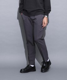 nano・universe/「N TROUSERS」セットアップ SOLOTEX(R) 4WAYダブルクロス/505413711