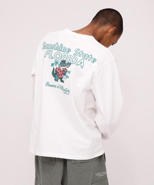 AVIREX(AVIREX)/LONGSLEEVE FLORIDA ALLIGATORS T－SHIRT/ホワイト