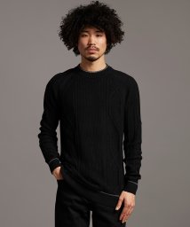 ライル＆スコット(ライル＆スコット)/【LYLE&SCOTT】ライル＆スコットケーブルクルーセーター/ブラック 