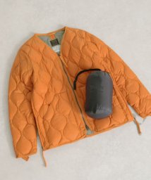 ITEMS URBANRESEARCH(アイテムズアーバンリサーチ（メンズ）)/TAION　MILITARY Wzip V－NECK DOWN JACKET/DORG