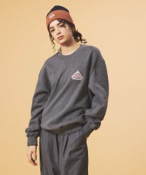 ABAHOUSE/【PYRENEX / ピレネックス】PHASE BRUSHED/ワッペンクルース/505744110