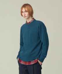 J.PRESS MENS/【WEB限定】クルーネックニット/505749678