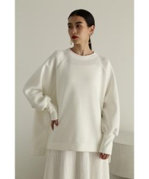 JILL STUART/ダンボールジャージートップス/505751342