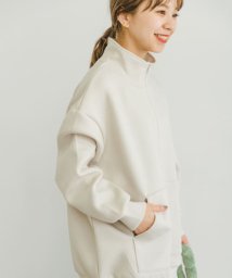 ITEMS URBANRESEARCH(アイテムズ アーバンリサーチ（レディース）)/ハーフジップスウェット/GREGE