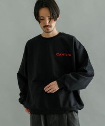 URBAN RESEARCH(アーバンリサーチ)/URBAN RESEARCH iD　CANTINA Sweat Crew Neck/BLACK