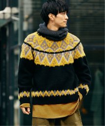 JOURNAL STANDARD relume Men's/VIKING WOOL キュウシン クルーネックニット/505752674