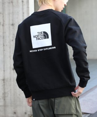 THE NORTH FACE/【THE NORTH FACE / ザ・ノースフェイス】REDBOX CREW レッドボックス トップス トレーナー スウェット プルオーバー ロゴ 長袖/505744284