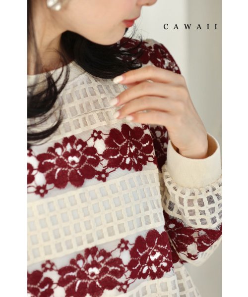 CAWAII(カワイイ)/花刺繍と小窓シアーチェック重なるプルオーバートップス/ホワイト