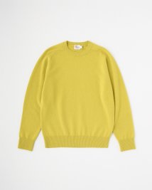 Traditional Weatherwear(トラディショナル　ウェザーウェア)/CREW NECK PULLOVER/イエロー