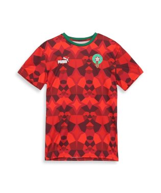 PUMA/メンズ サッカー モロッコ FTBLCULTURE Tシャツ/505758688