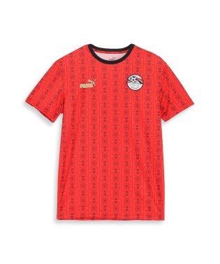 PUMA/メンズ サッカー エジプト FTBLCULTURE Tシャツ/505758692