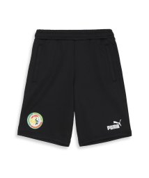 PUMA/メンズ サッカー セネガル FTBLCULTURE ショーツ/505758703