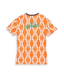 PUMA/メンズ サッカー コートジボワール FTBLCULTURE Tシャツ/505758706