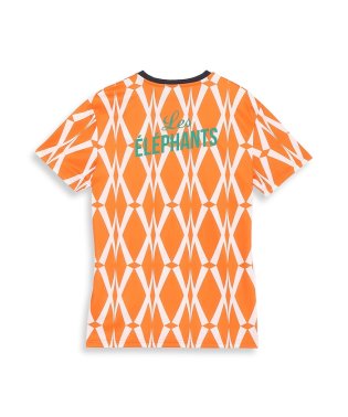 PUMA/メンズ サッカー コートジボワール FTBLCULTURE Tシャツ/505758706
