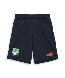 PUMA/メンズ サッカー コートジボワール FTBLCULTURE ショーツ/505758713