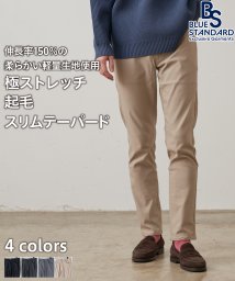 JEANS MATE(ジーンズメイト)/【BLUESTANDARD】極ストレッチ スーパーストレッチ 起毛 スリムテーパード 暖パンツ 冬パンツ 美脚パンツ /ベージュ