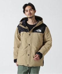 BEAVER(ビーバー)/THE NORTH FACE /ザ・ノースフェイス　Mountain Down Jacket/タン6