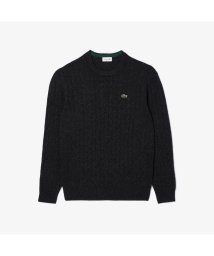 LACOSTE Mens(ラコステ　メンズ)/レスポンシブルウールケーブルニットセーター/ダークグリーン