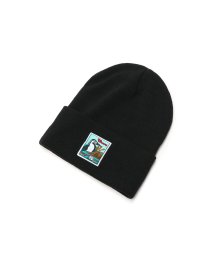 CHUMS(チャムス)/日本正規品 チャムス ニット帽 CHUMS ブランド 冬 ビーニー 帽子 40 Years Knit Cap CH05－1344/ブラック