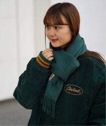 JOINT WORKS(ジョイントワークス)/【CARHARTT WIP / カーハート ダブリューアイピー】 CLAN SCARF/グリーンE