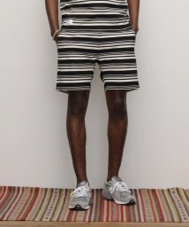 Schott/HORIZONTAL STRIPES SHORTS/ホライゾンタル ストライプショーツ/505773529