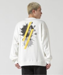 B'2nd(ビーセカンド)/A4A/エーフォーエー/FLOWER SWEAT CREW NECK フラワースウェットクルーネック/ホワイト