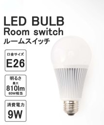 JOURNAL STANDARD FURNITURE/【Room switch/ルームスイッチ】 LED bulb 電球/505779859