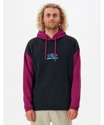 RIP CURL/ARCHIVE HOOD プルオーバーパーカー/505764432