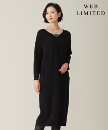 J.PRESS LADIES/【WEB限定カラーあり・洗える】TRIM RAYON STRETCH ニット ワンピース/505750712