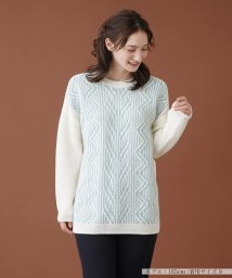 Leilian(レリアン)/フロント柄編みセーター/サックス