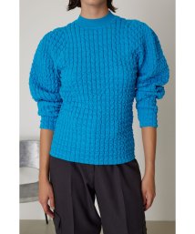 RIM.ARK(リムアーク)/Uneven surface compact knit/BLU