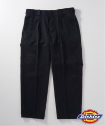 JOURNAL STANDARD relume Men's/【DICKIES / ディッキーズ】別注 サイドアジャスターワークパンツ/505802542