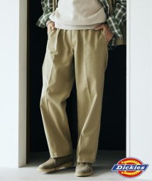 JOURNAL STANDARD relume Men's/【DICKIES / ディッキーズ】別注 サイドアジャスターワークパンツ/505802542