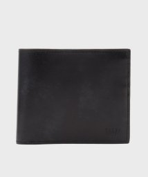 TAKEO KIKUCHI(タケオキクチ)/マーブルレザー 2つ折り財布/ブラック（019）