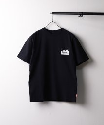 ar/mg/【Kt】【CM5704】【Coleman】Mt./P REG CREW S/S/505786588