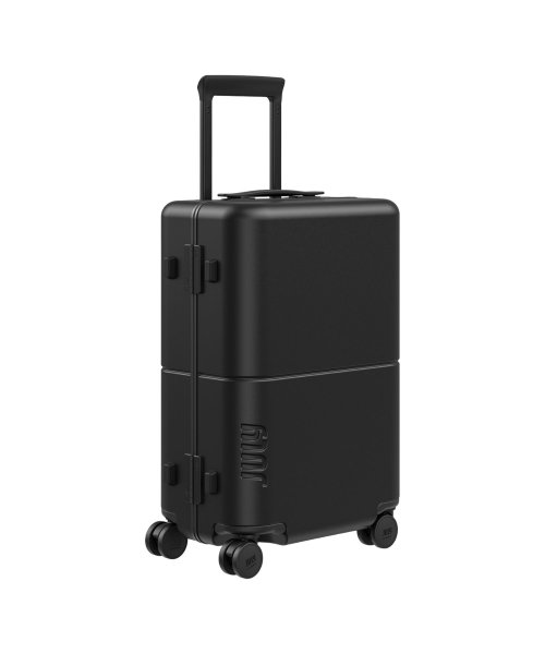 最終セール！！ロエベ（ LOEWE ならし ） スーツケース・トランク 