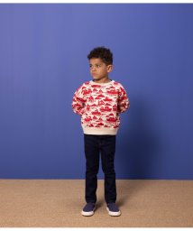 PETIT BATEAU/プリントスウェット長袖プルオーバー/505810829