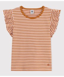 PETIT BATEAU/スラブジャージボーダー半袖Ｔシャツ/505810842