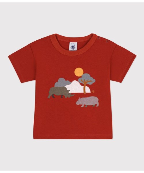 PETIT BATEAU(プチバトー)/プリント半袖Ｔシャツ/レッド