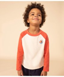 PETIT BATEAU/バイカラー長袖Ｔシャツ/505811880