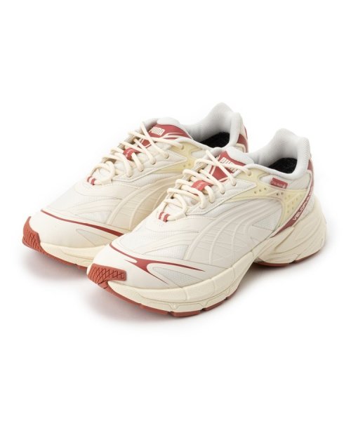 【PUMA】　ユニセックスベロファシス　スニーカー 5cm相当