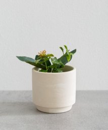 SENSE OF PLACE by URBAN RESEARCH(センスオブプレイス バイ アーバンリサーチ)/BLOMSTER　SOIL POT/BE/WH