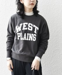 SHIPS any WOMEN/【SHIPS any別注】THE KNiTS:〈洗濯機可能〉カレッジ ロゴ スウェット/505517911