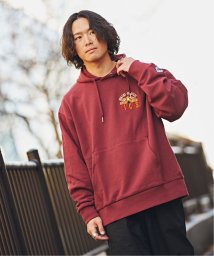 B.C STOCK(ベーセーストック)/MULGATHELIFE×BC.STOCK/パーカー/ボルドー