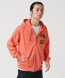 AVIREX/LONG SLEEVE FADE MIAMI PATCH PARKA/505739325