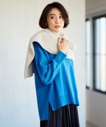 JIYU-KU(LARGE SIZE)(自由区（大きいサイズ）)/【WEB&一部店舗限定】スムージーカラー ニット/[WEB限定]ブルー