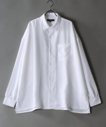 SITRY(SITRY)/【SITRY】ドレープ レギュラーカラー シャツ  無地 長袖 きれいめシャツ/ホワイト