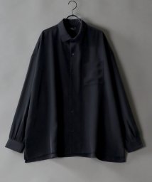 SITRY(SITRY)/【SITRY】ドレープ レギュラーカラー シャツ  無地 長袖 きれいめシャツ/ブラック