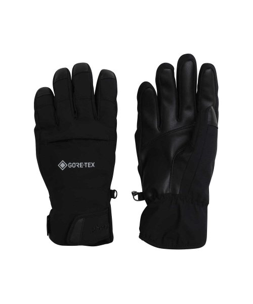 phenix(phenix)/phenix フェニックス Thunderbolt Gloves ACC サンダーボルト グローブ ゴアテックス スキーウェア【MENS】/ブラック